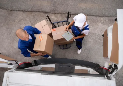 removal-mg